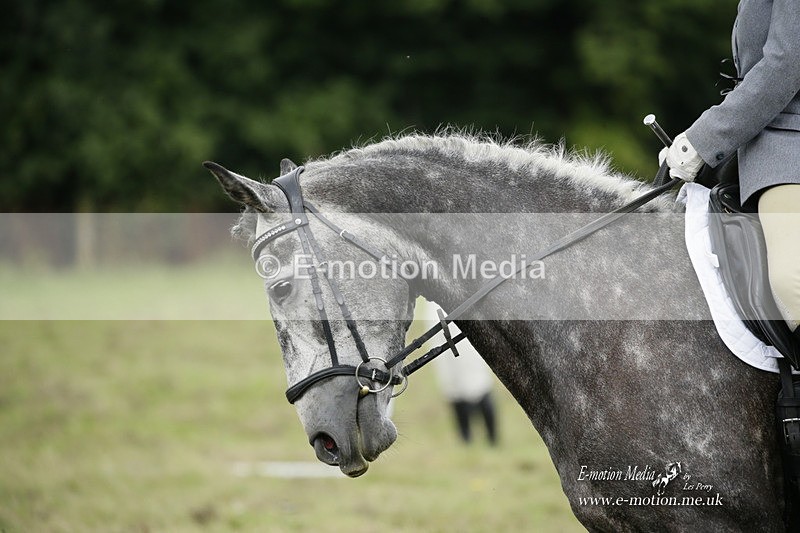 BVRC 120921 469 - Bourne Valley Riding Club UA Dressage & Show Jumping 12/09/21