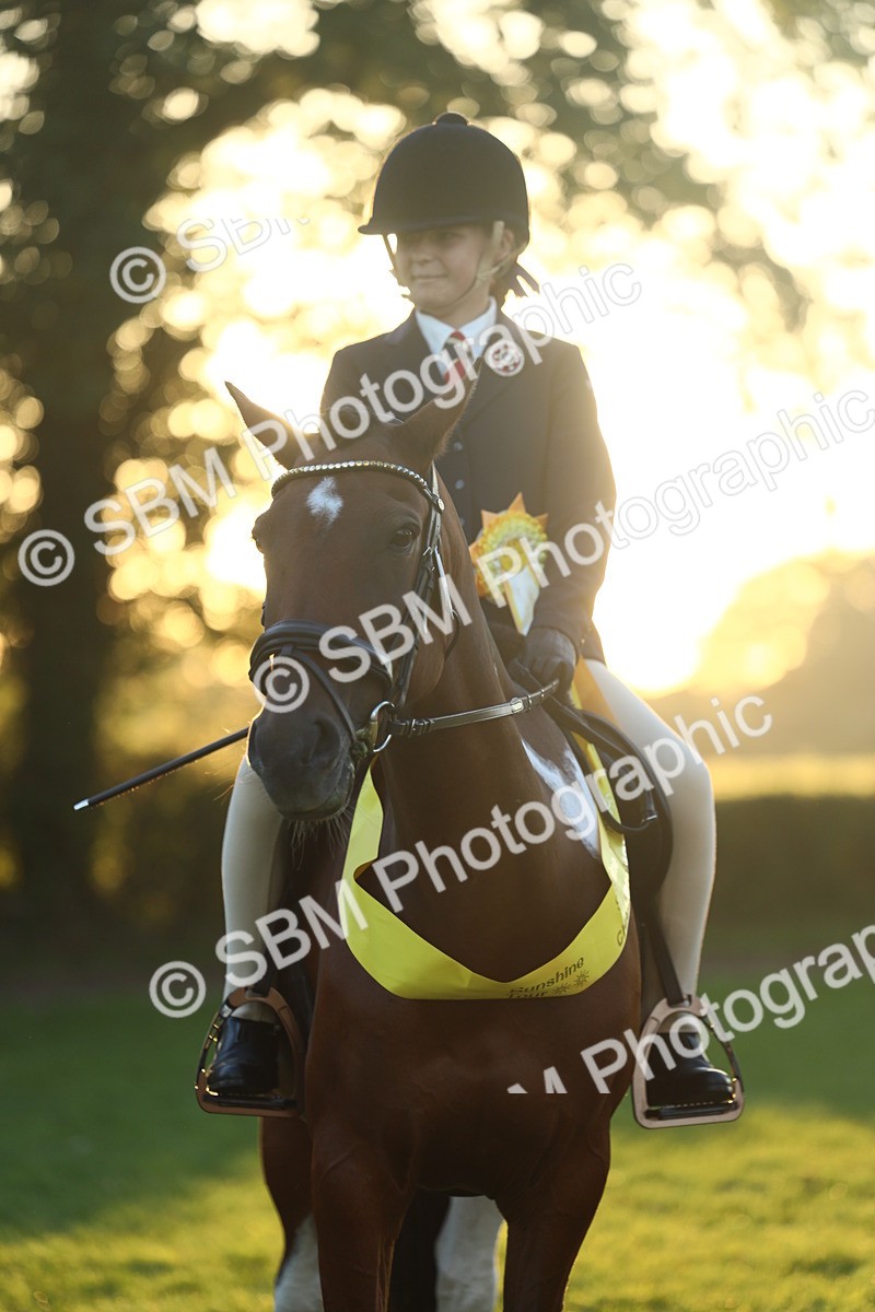 SBM_56665 - Fun & Versatile Supreme Championship
