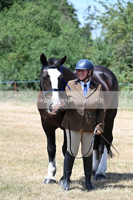 WJ7_2457 - Class 5a Most Handsome Gelding in hand (above 14.2hh)