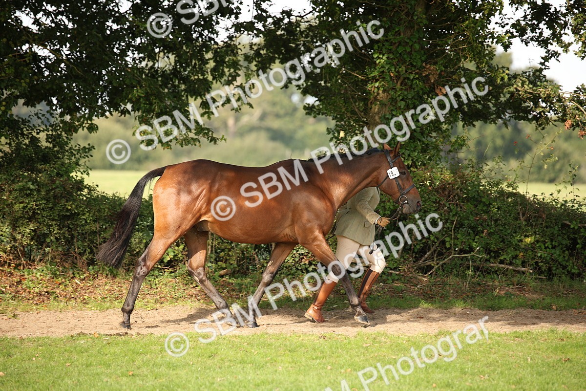SBM_60067 - S53 - Hunter In Hand