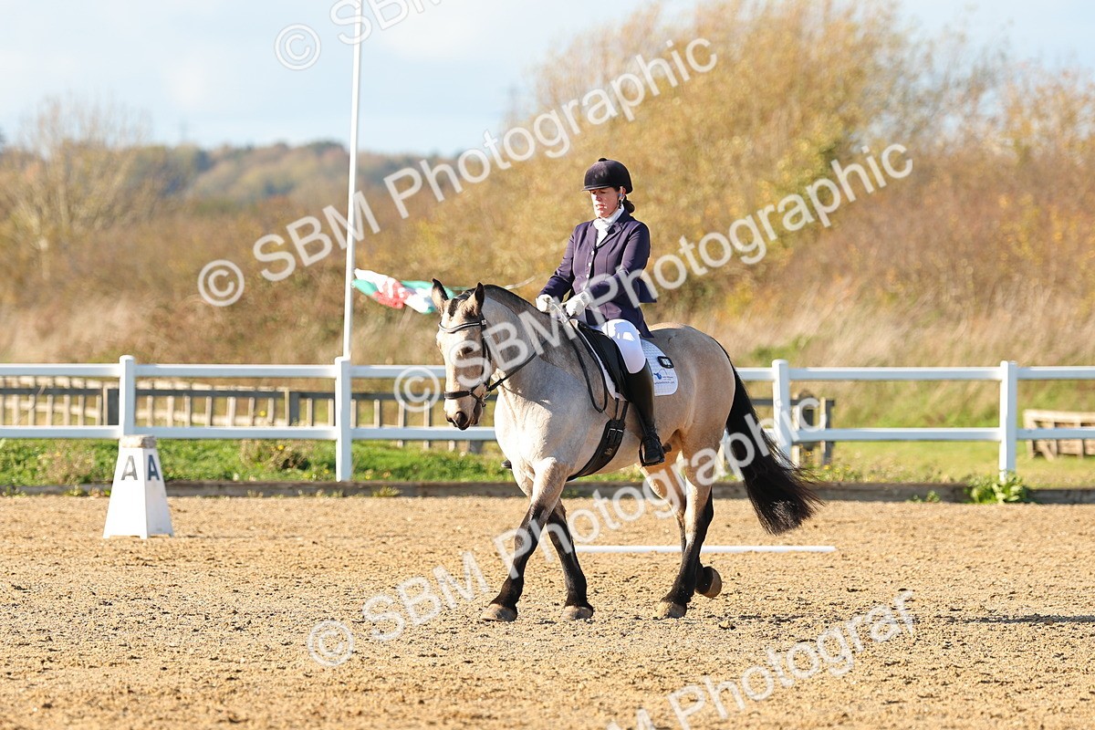 SBM_001551 - Medium 3