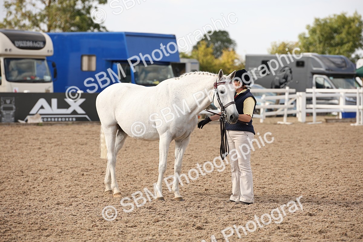 SBM_08206 - Class 27 - IH Competition Horse-Pony