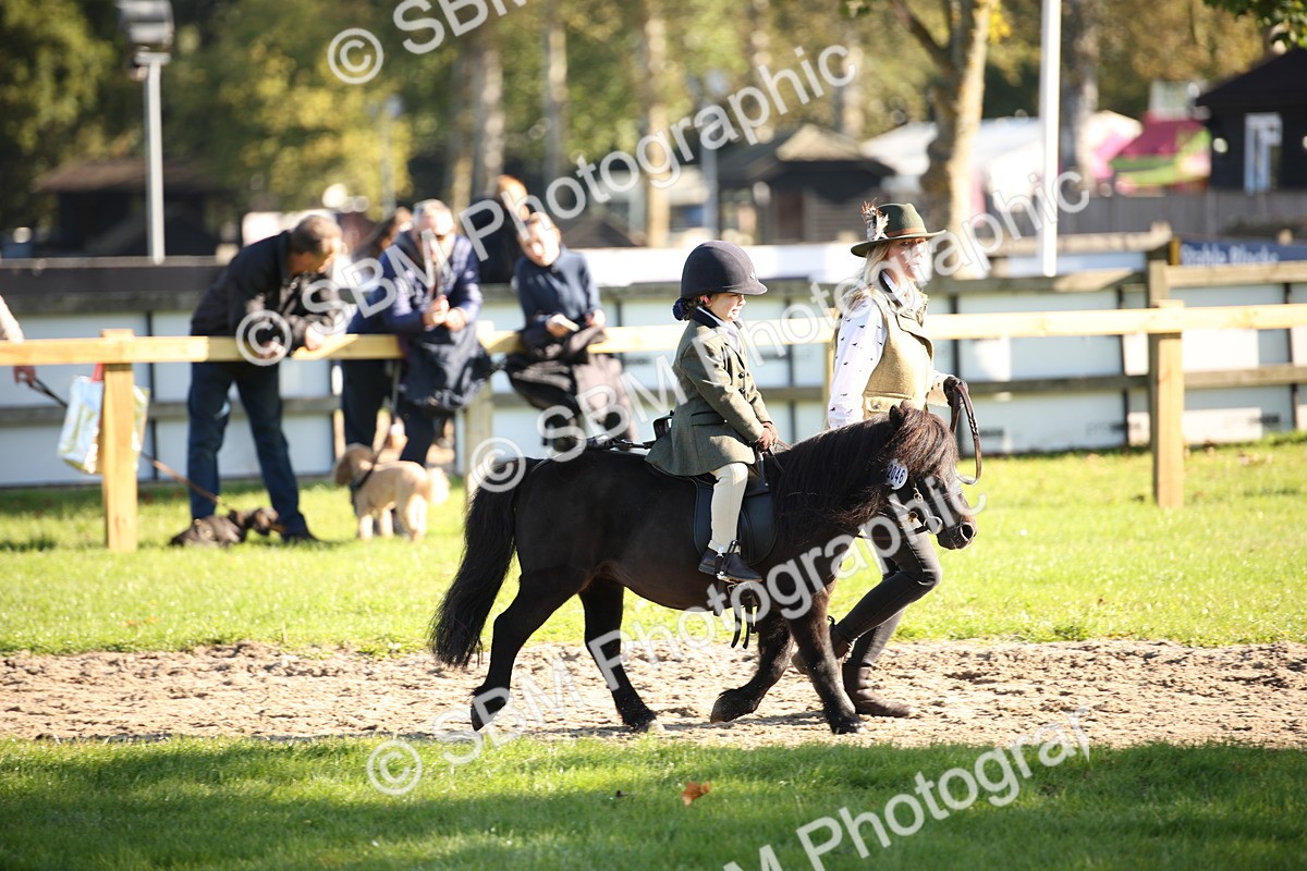 SBM_35674 - S9 - Lead Rein Equitation