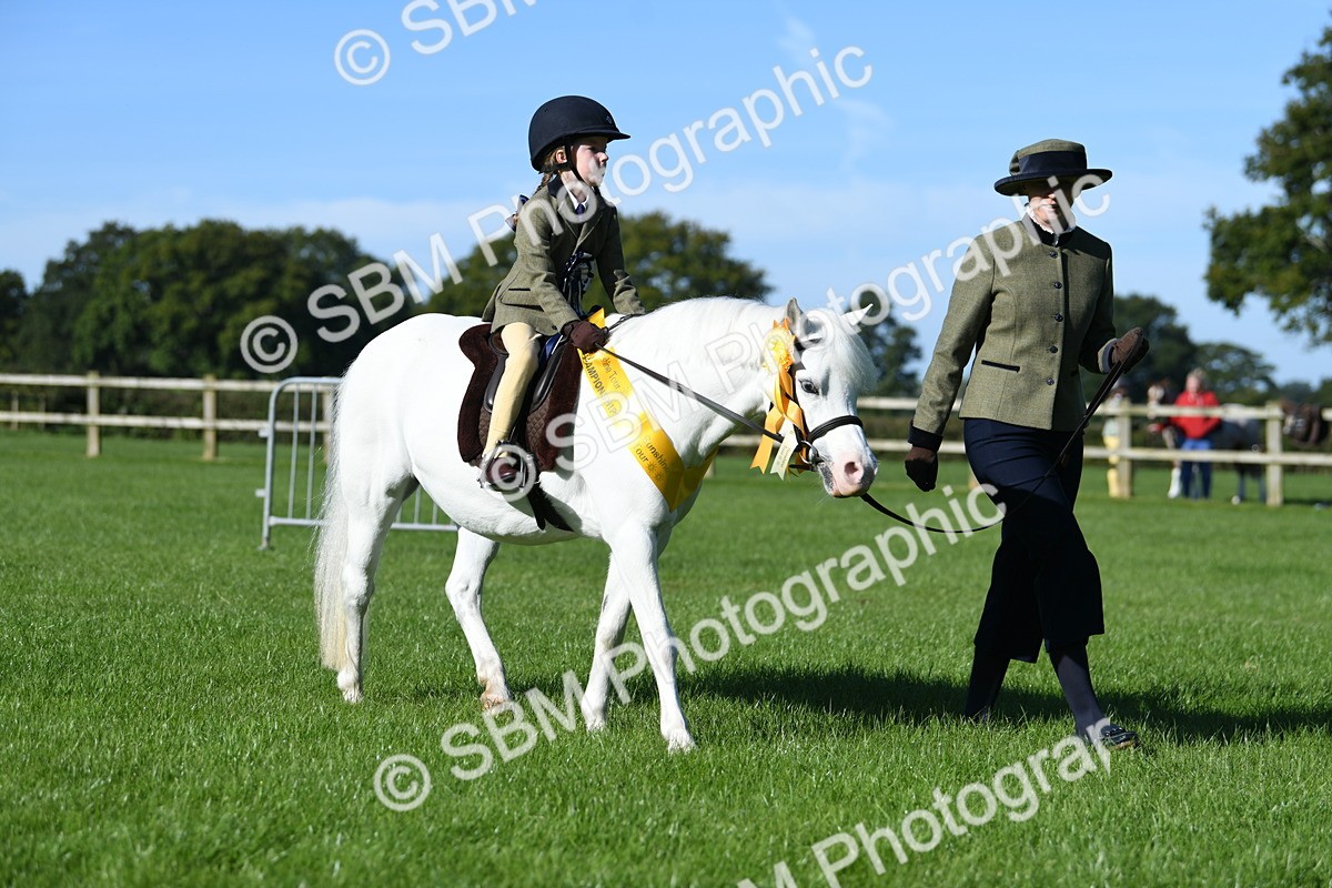 SBM_35636 - Top Turnout Supreme Championship