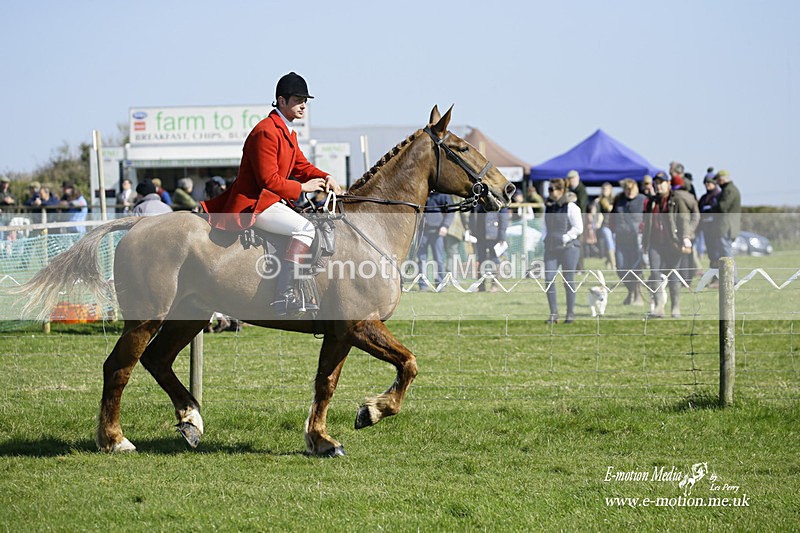 PtP 190322 274 - Wilton Hunt PtP Milborne St Andrew 19/03/22