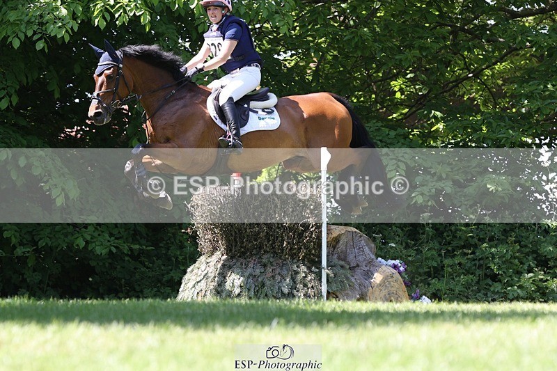 230527-143204-10387 - 329-VINTAGE_GRAFFITI-Alice_Hallows-XC