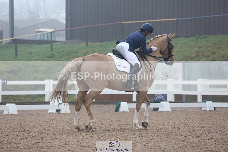 240217A-123649-02931 - 274-Clare.Smith-Dori.Dragon.Fly