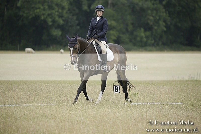 B230619-0888 - Bourne Valley Riding Club Summer Show 23/06/19