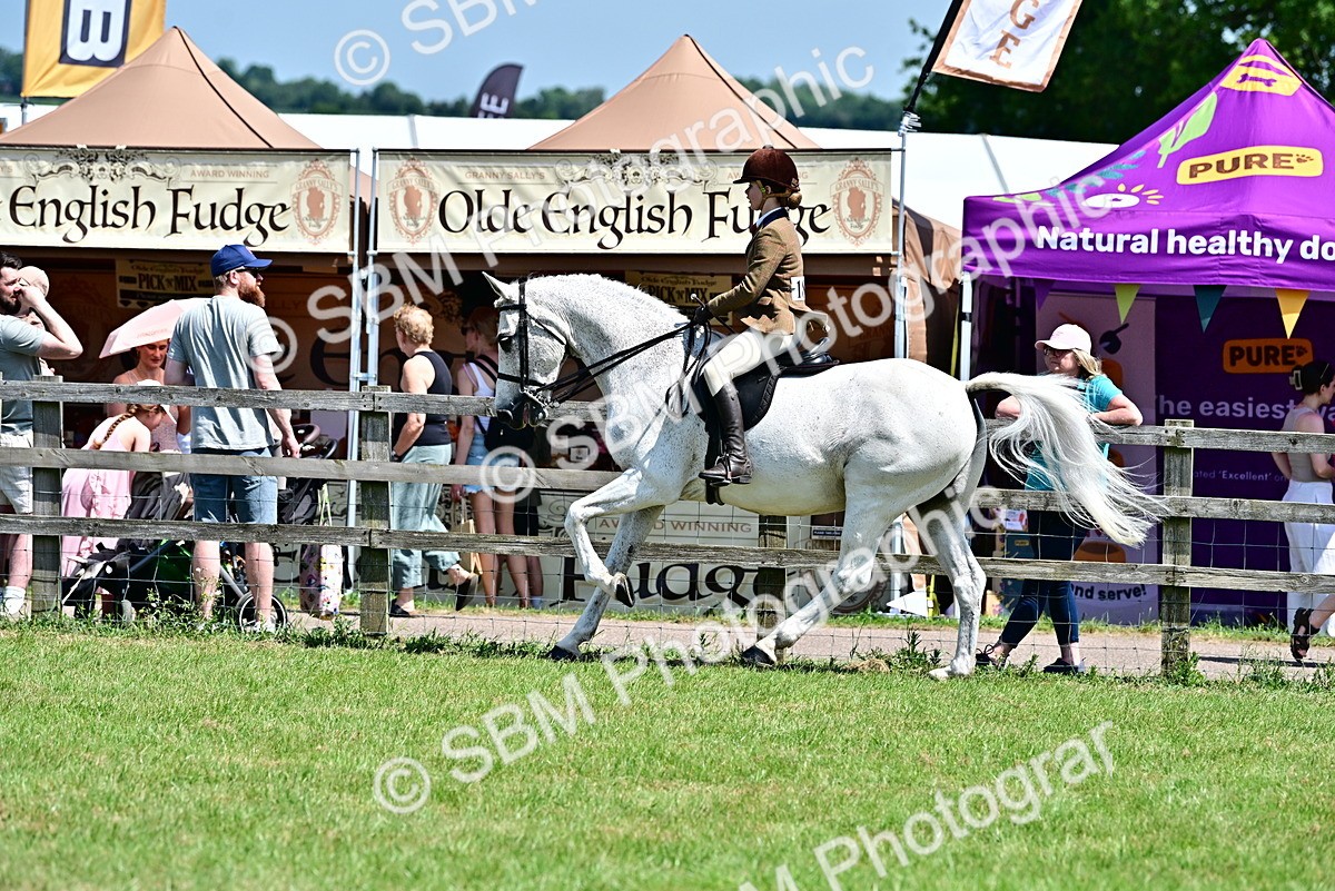 SBM_15370 - Class 95-97 - BSPS LHS Performance Ponies