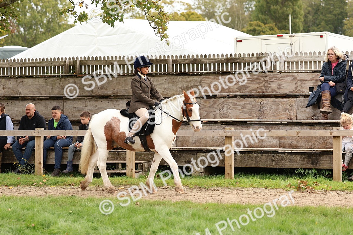 SBM_64399 - S58 - Coloured Pony Ridden