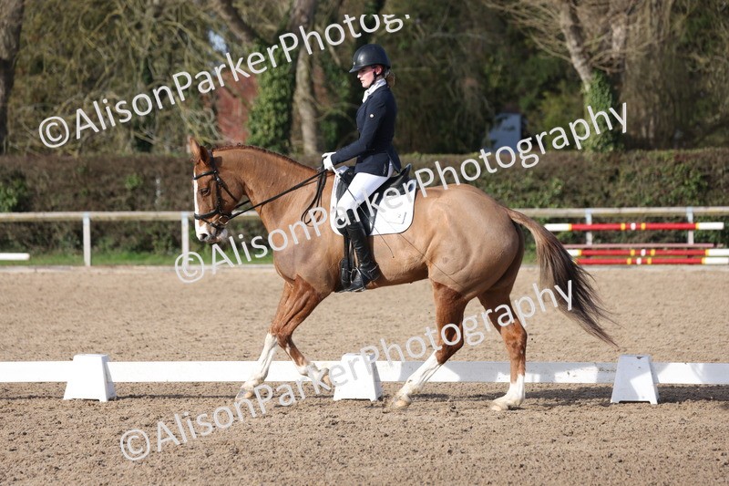 20260214-0616 - Class 5 - Novice 3