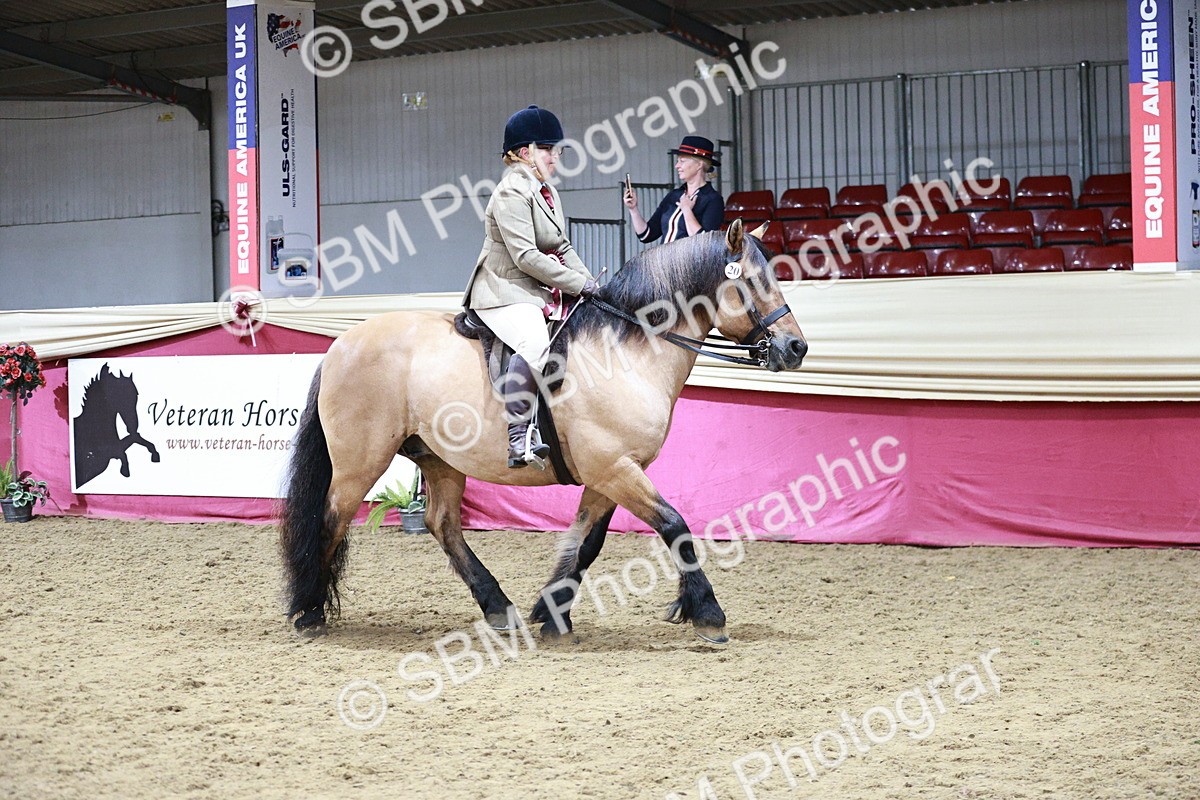 SBM_08402 - Class 11R - Regional Ridden Veteran