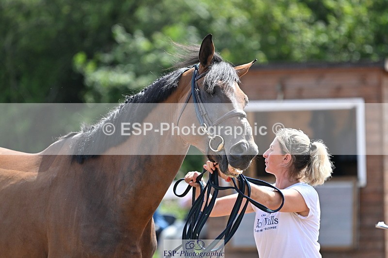 240717A-154251-03006 - Trot Up 3pm to 4pm