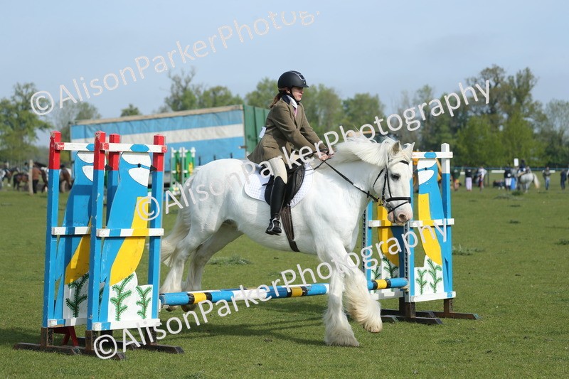 20260426-0140 - Class 13 - Rookie Jumping 50cm