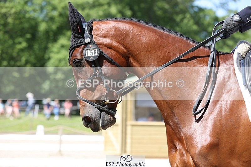 230526-120244-06146 - 158-RED_LETTER_DAY_II_(GB)-Imogen_Murray-WEDTrotUp+DR