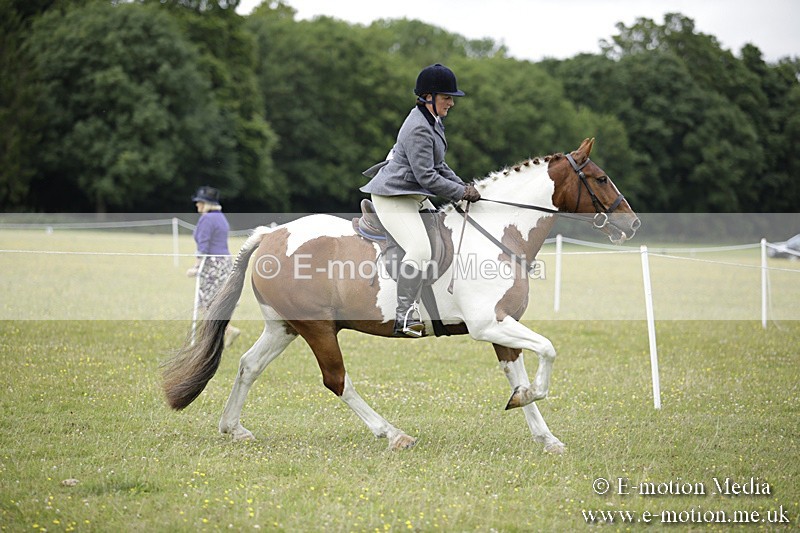 BVR160717-1887 - Ring 1 BVRC Show 16/07/17