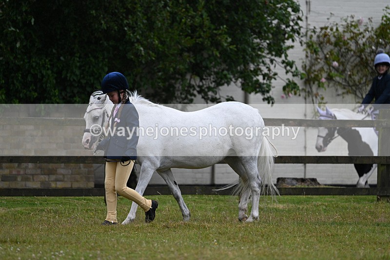 WJ7_5851 - Class 4 Prettiest Mare in Hand