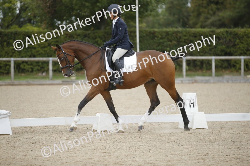 20260913-0386 - Class 3 - Novice 5