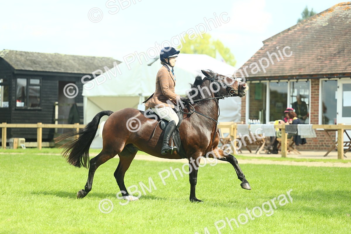 SBM_43002 - S30 - M&M Working hunter Pony