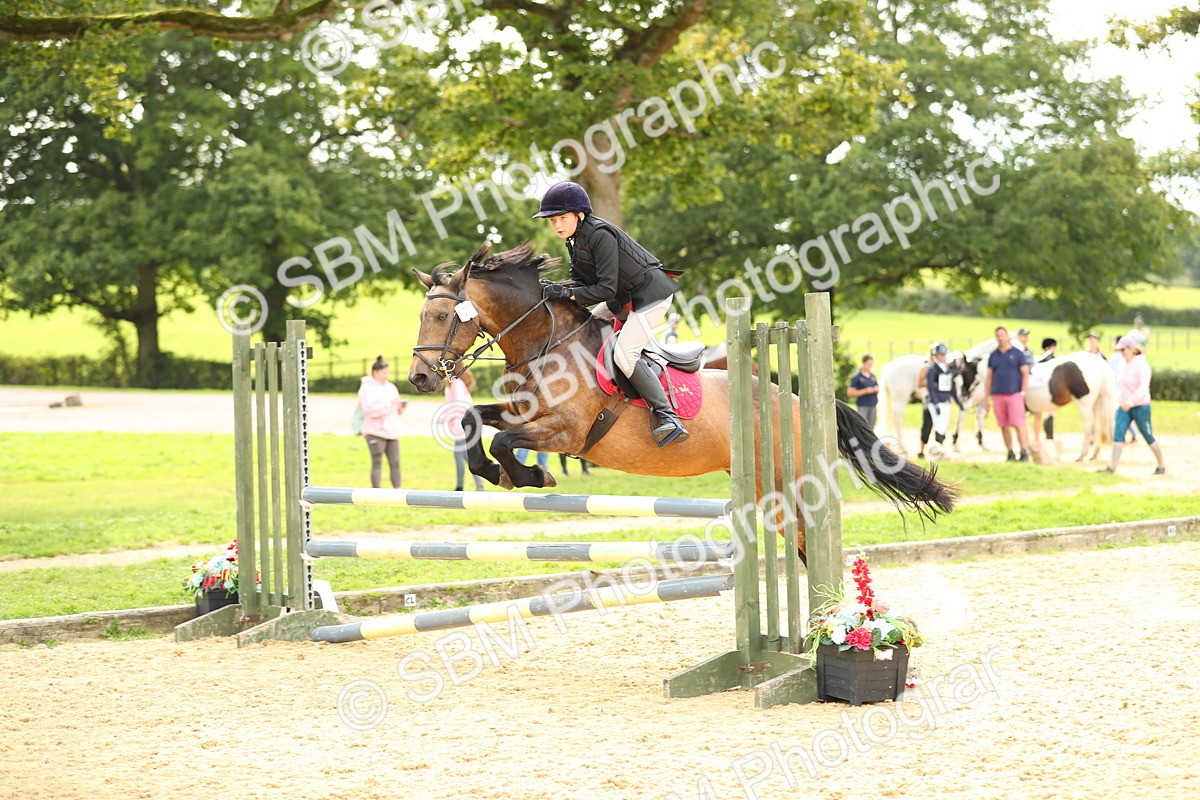 SBM_71239 - J18 - Junior Pony 85cm Championship