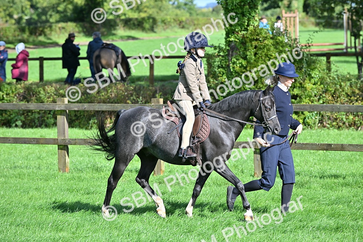 SBM_37439 - S18 - Novice & Newcomer Lead Rein Pony