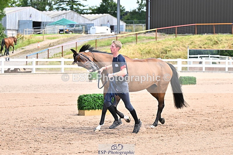 240718A-105256-01342 - Trot Up 12pm to 1pm