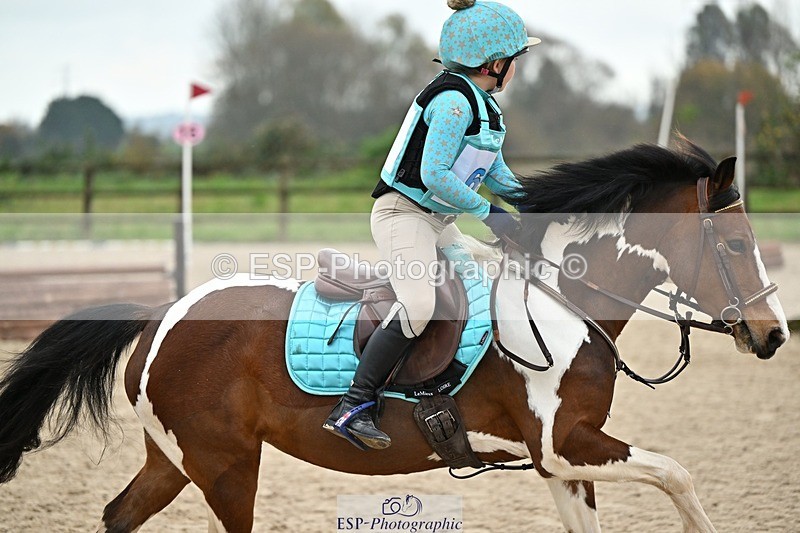241110-140058-01007 - 60-65cm Arena Eventing