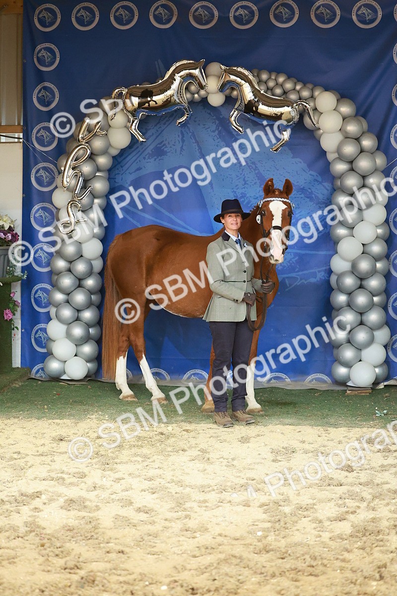 SBM_13721 - Class 104 - IH  Costume