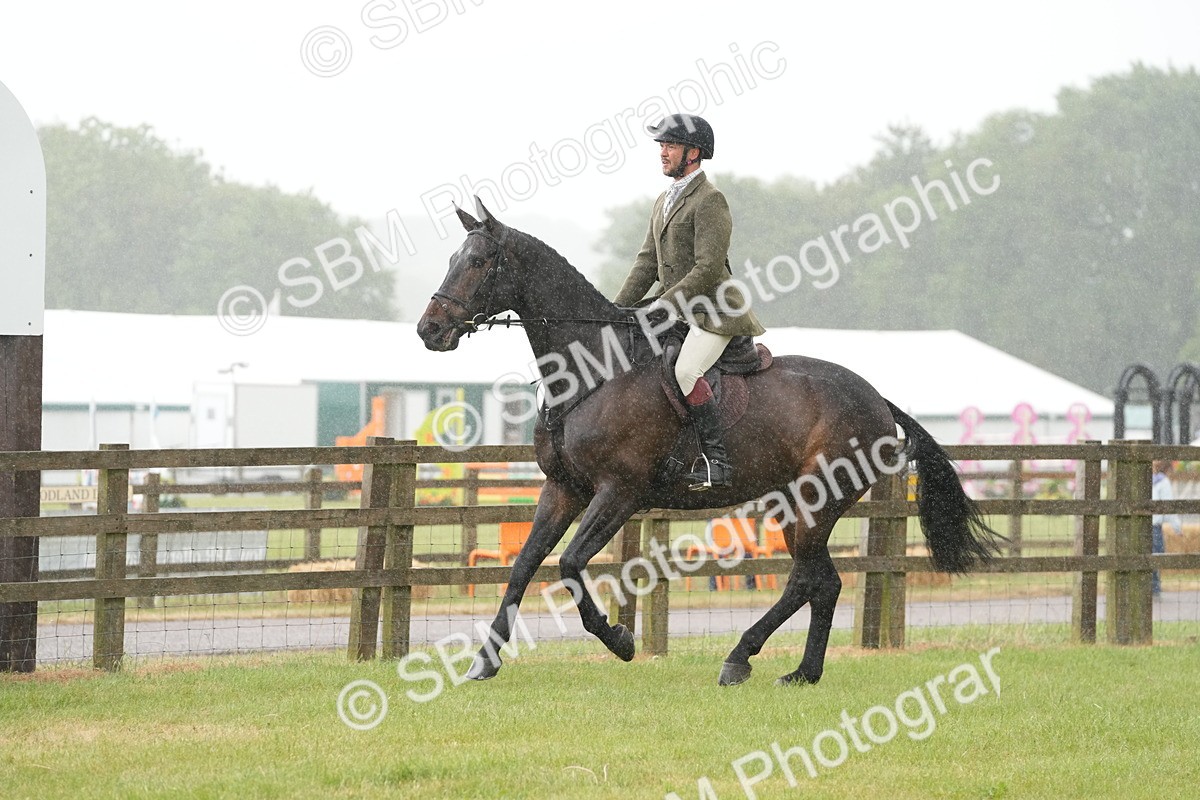 SBM_12670 - Class 97-98 - LIHS BSHA Rising Star Working Show Horse Hunter