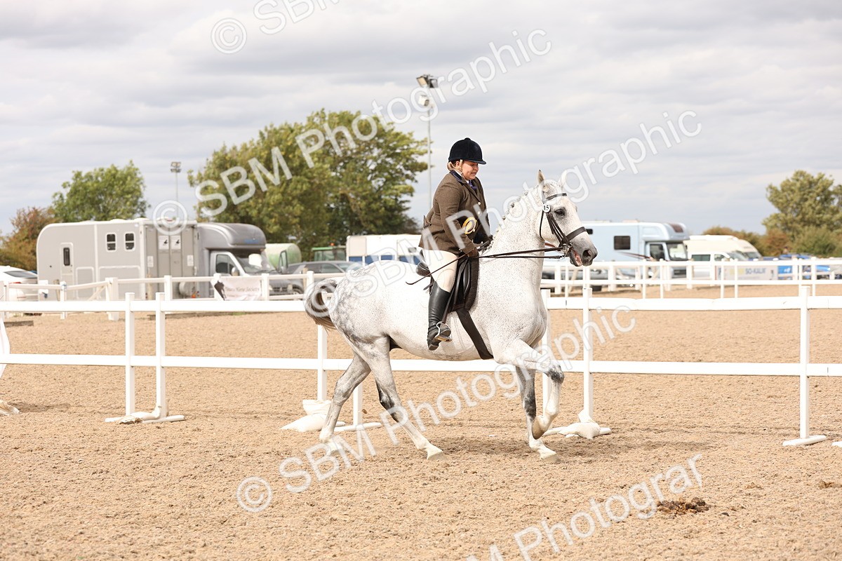 SBM_17288 - Class 213 - Ridden Hunter - Large