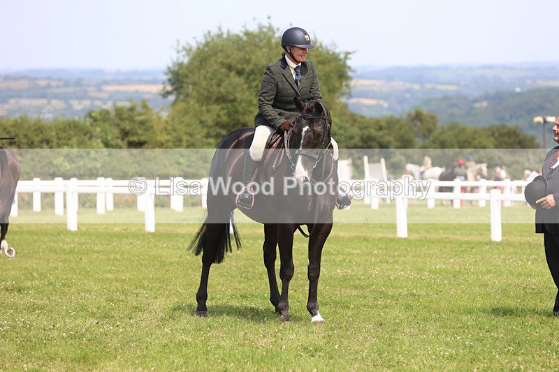 JPP_3585 - Class 23: Working Hunter 80cm