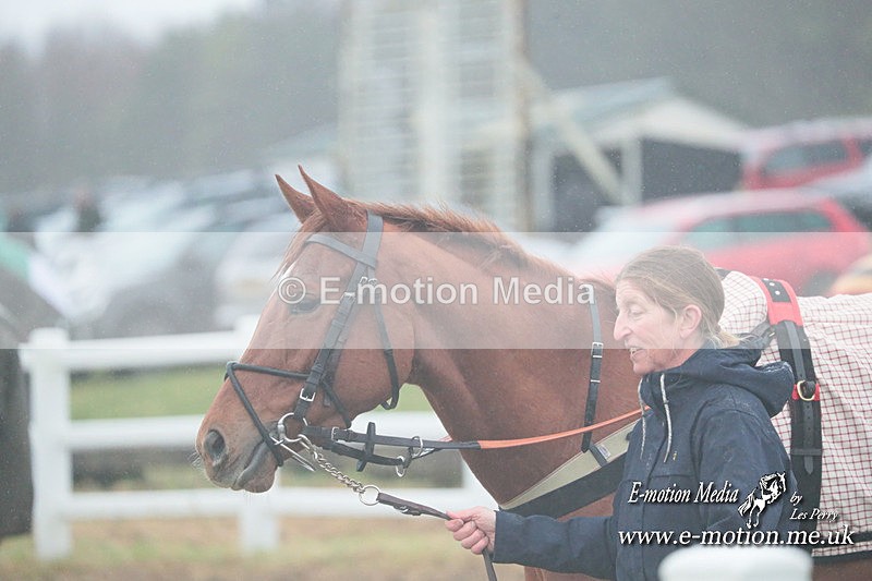 PtP 101223 195 - New Forest Hounds PtP Larkhill 10/12/23