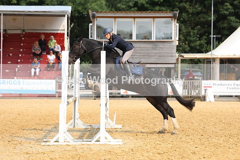 3E7A1574 - Class 4: Senior British Novice/90cm open