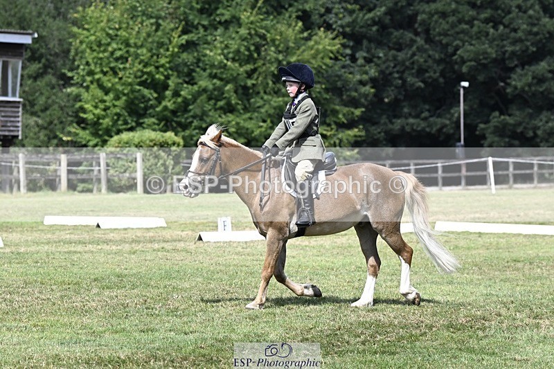 250822A-125052-21935 - DR 12.00 to End