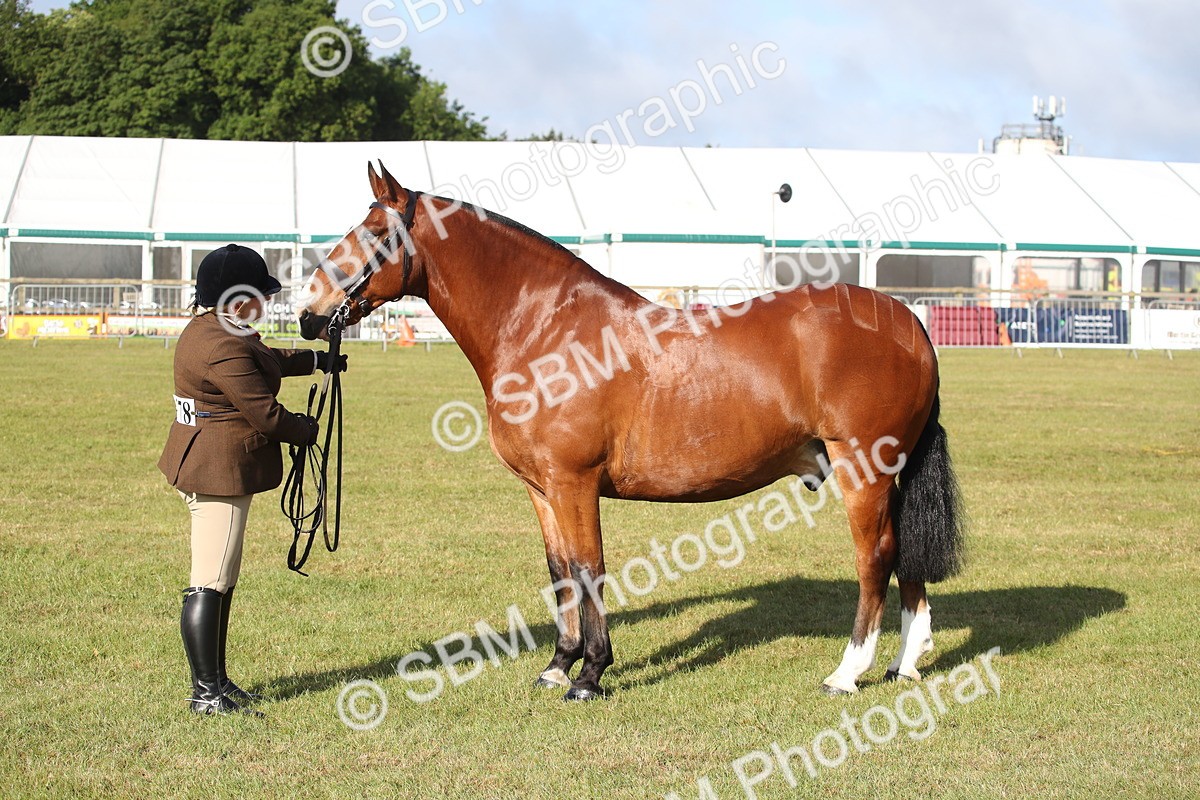 SBM_11110 - Class 92-93 - LIHS BSHA Rising Star Cobs