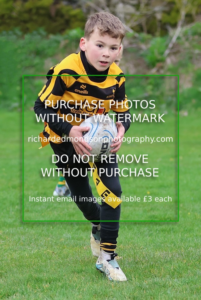 533A5028 - Kendal Rugby Under 7's (12/4/26)