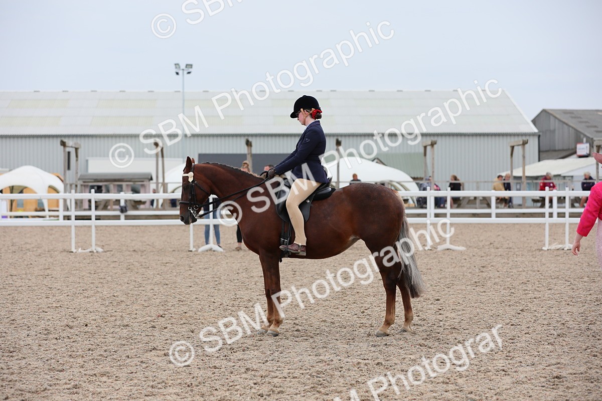 SBM_18099 - Class 316 Best Pony/Rider Combination