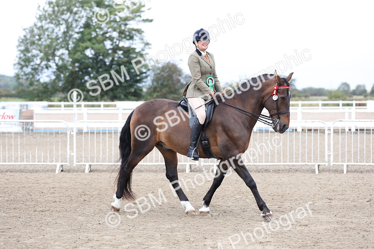 SBM_01450 - Class 51 - Best Turned Out Ridden