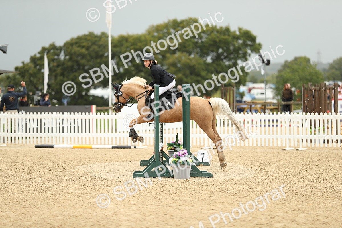 SBM_34241 - J60 Clear Round 50cm