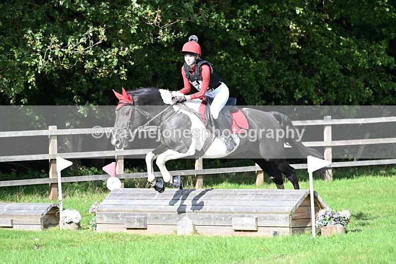 WJ7_4934 - 60cm Time 11:11 to 11:19