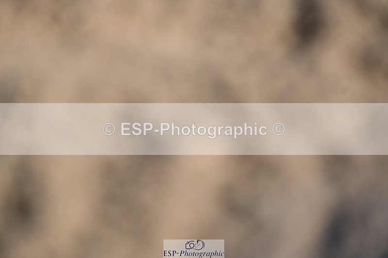 240323A-091443-00886 - MyQuest Intro A