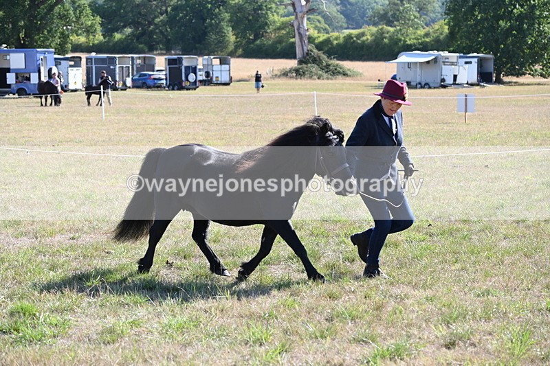 WJ6_4250 - Class 16 Condition & Turn Out