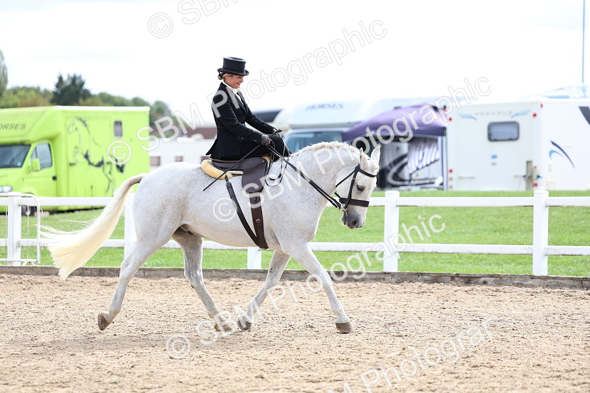 SBM_03454 - Class 24 - SSA Concours d'elegance (any age)