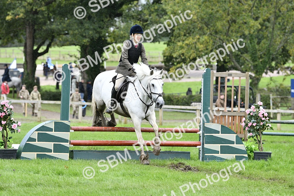 SBM_42286 - S32 - Mountain & Moorland Working Hunter Pony