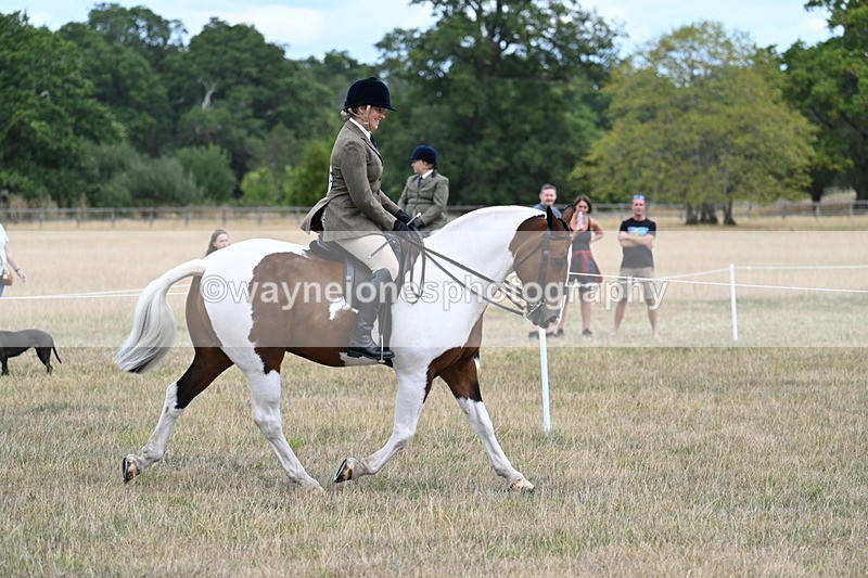 WJ7_4867 - Class 12 Ridden Cob