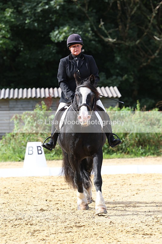 3E7A2314 - Class 1: Intro 4 2024 section A