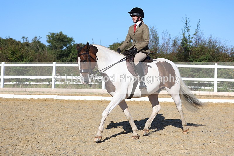 3E7A5281 - Class 8: Small Ridden Hunter
