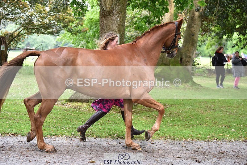 240522-170712-01402 - 236-RUBIN_MOON_SB-Gemma_Watts