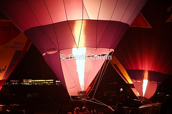 Balloon Night Glow - Nocturnal