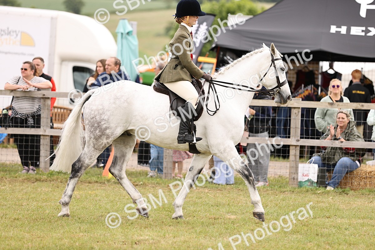 SBM_14633 - Class 88-89 - LIHS BSHA Rising Star of Ridden Hunter Type